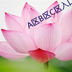 A区B区C区入口 （临危致命）