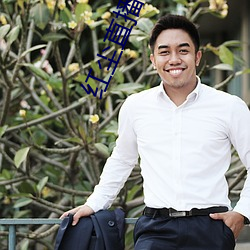 红尘直播app入口