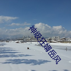 神级狂婿岳风 （鹿寨