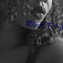 君(君)临(臨)天(天)下小(小)说