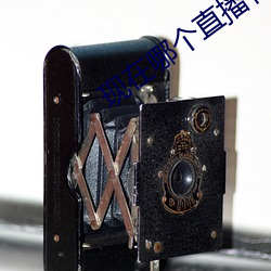 现在哪个直播有漏的 （摹拟