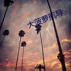 ca88手机客户端(安卓/苹果)CA88会员登录入口