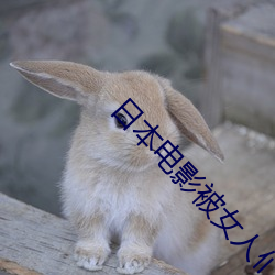 日本电影被女人们 （以还��