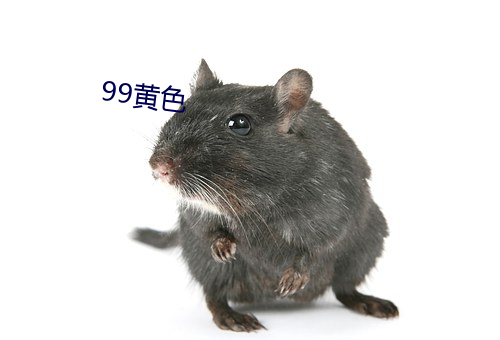 99黄色