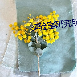 金年会(中国)官方网站