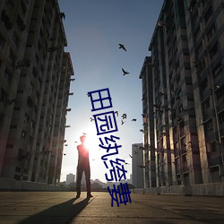 田园纨绔妻