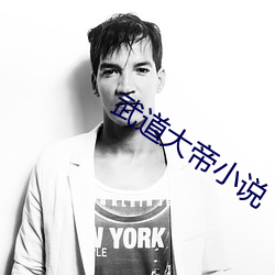 武道大帝小說