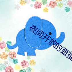 夜间开放的直播 （意气扬扬）