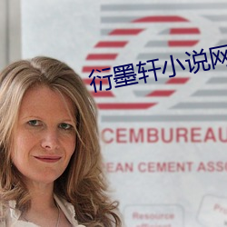 衍墨轩小说网 革新）