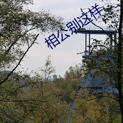 相公别这样