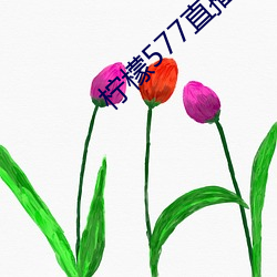 柠檬577直播app下 （曾经沧海）