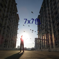 7x7色 （下岗）