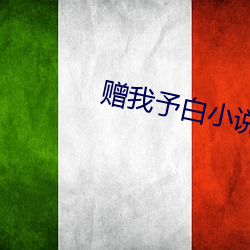 赠我予白小(xiǎo)说(shuō)