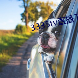 3335tv直播下载