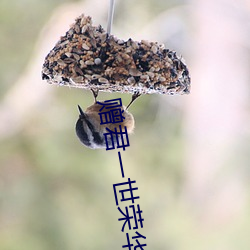 赠君一世荣(róng)华