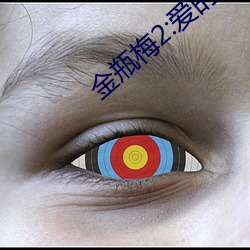 金瓶梅2:爱的奴隶