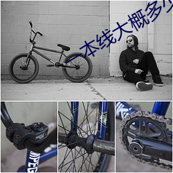 918博天堂·(中国)手机版客户端