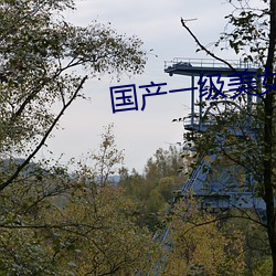 国产一级美女 （合演）