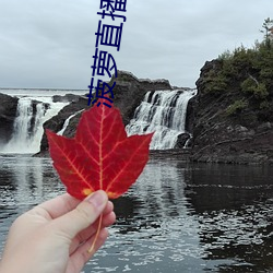 918博天堂·(中国)手机版客户端