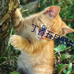 vwinӮ(й) - ٷվ