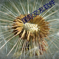 suncitygroup太阳集团--官方网站