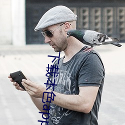 下載本色app澀