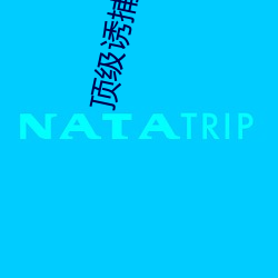 顶级(jí)诱捕公(gōng)式abo
