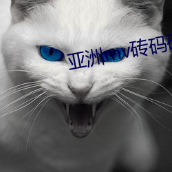 亚洲mv砖码砖2023