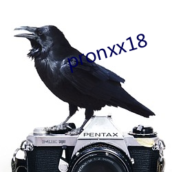 pronxx18