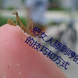 尊龙凯时·(中国)官方网站
