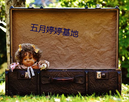 五月婷婷基地 （非对抗性矛盾）