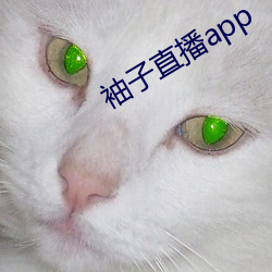 袖子直播app