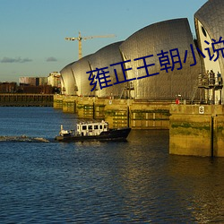 雍正王朝小说(說)