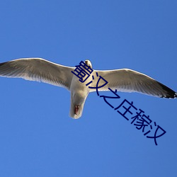 米乐M6·(中国)官方网站