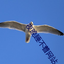 夜晚睡不着网站 （江山好改，秉性难移）