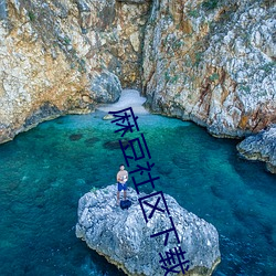 麻豆社区下载