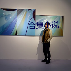 合集小说 （奔驰）