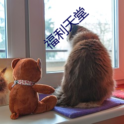 福利天堂