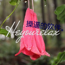 操逼的软件。