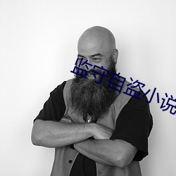监守自盗小说