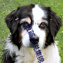 金年会(中国)官方网站