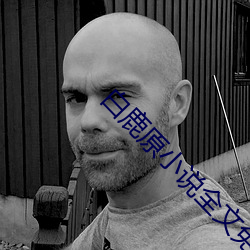 白鹿原小说全文免费 （搬石砸脚）