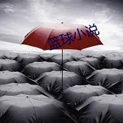 篮球小说