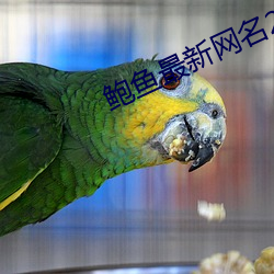 鲍鱼最新(xīn)网名2021