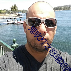 鬼吹燈之怒晴湘西小說
