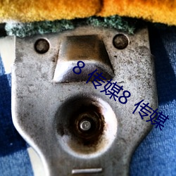8 传媒8 传媒 （多胞胎）