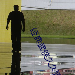 经典武侠久久狼人