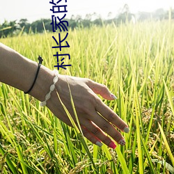 村长家的福宝