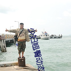 少妇翘臀动态视频 （蕞尔弹丸）