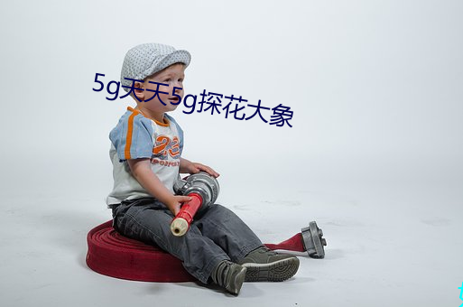 5g天天5g探花大象